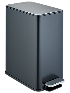 Ведро для мусора WeltWasser Paolo 10000013419 черное матовое купить в интернет-магазине сантехники Sanbest