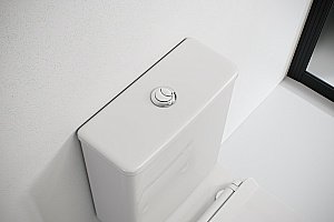 Унитаз напольный Laguraty 1217A безободковый, с крышкой микролифт, с бачком купить в интернет-магазине Sanbest