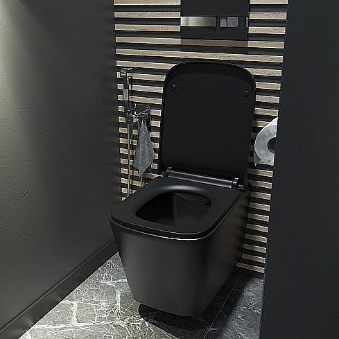 Унитаз подвесной IDDIS Bild BILR2BMi25 безободковый, с крышкой микролифт купить в интернет-магазине Sanbest