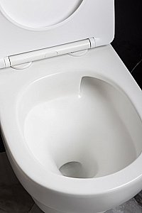 Унитаз Boheme FIORE 978-SET-MW безободковый, с крышкой микролифт, смыв торнадо, белый матовый купить в интернет-магазине Sanbest