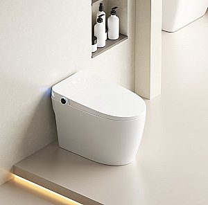 Унитаз приставной с функцией биде SantiLine SL-5035 белый, слив торнадо, безободковый, с крышкой микролифт купить в интернет-магазине Sanbest