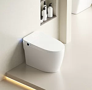 Унитаз приставной с функцией биде SantiLine SL-5035 белый, слив торнадо, безободковый, с крышкой микролифт купить в интернет-магазине Sanbest