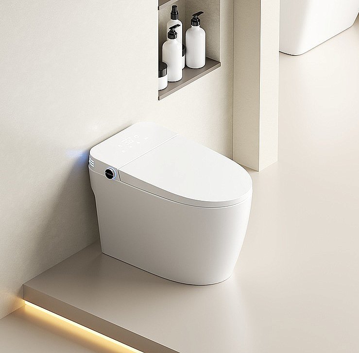 Унитаз приставной с функцией биде SantiLine SL-5035 белый, слив торнадо, безободковый, с крышкой микролифт купить в интернет-магазине Sanbest