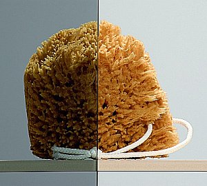 Душевой уголок Radaway Almatea KDD 100х100 32172-01-05N стекло графит/профиль хром купить в интернет-магазине Sanbest