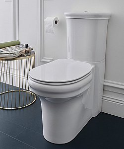 Унитаз напольный Jacob Delafon CLEO 1889 UJAC102-0 безободковый, с бачком, белый купить в интернет-магазине Sanbest