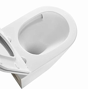 Унитаз подвесной beWash Aldo BKWHT001480 белый глянцевый, безободковый, с крышкой микролифт, слив торнадо купить в интернет-магазине Sanbest
