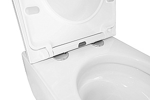 Унитаз подвесной Azario Nemi AZ-1293WH белый, безободковый, с крышкой микролифт, слив торнадо купить в интернет-магазине Sanbest