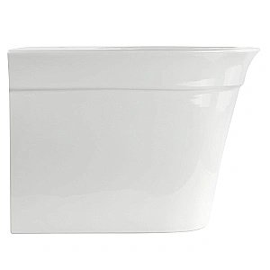 Унитаз приставной Migliore MONACO 32065, белая керамика, безободковый купить в интернет-магазине Sanbest