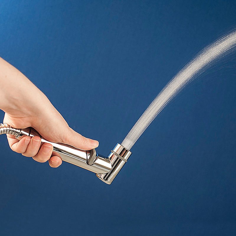 Гигиенический душ Elghansa BR-31-Chrome хром купить в интернет-магазине сантехники Sanbest