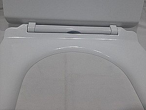 Унитаз приставной Ceramalux 217D белый, безободковый, с крышкой микролифт купить в интернет-магазине Sanbest