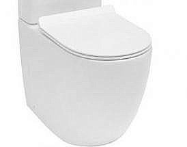 Чаша унитаза Aquanet Rimless Cetus-C1 BL-102N-TPT купить в интернет-магазине сантехники Sanbest