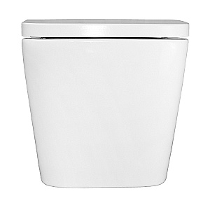 Унитаз подвесной Azario Nova AZ-2216 белый, безободковый, с крышкой микролифт купить в интернет-магазине Sanbest