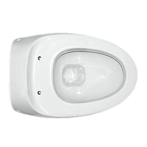 Унитаз Sanita luxe Ringo RNGSLWH0104R безободковый, с крышкой микролифт, белый купить в интернет-магазине Sanbest