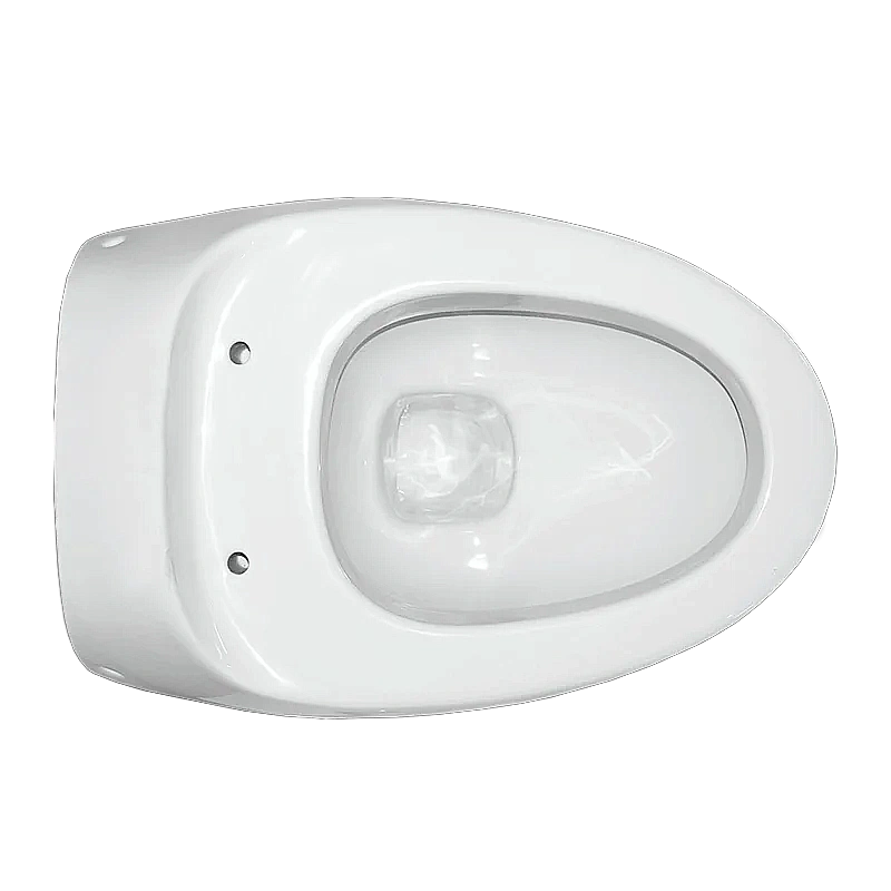 Унитаз Sanita luxe Ringo RNGSLWH0104R безободковый, с крышкой микролифт, белый купить в интернет-магазине Sanbest