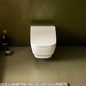 Унитаз подвесной Dreja ENZO 88.0001 белый, безободковый купить в интернет-магазине Sanbest