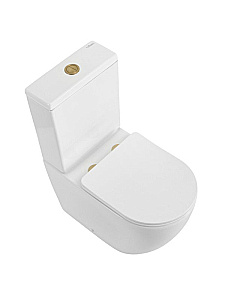 Унитаз напольный CEZARES STYLUS-TOR CZR-538-CP-TOR/SC безободковый, смыв торнадо, с бачком, с крышкой микролифт, белый купить в интернет-магазине Sanbest