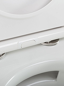 Унитаз подвесной Cezares STYLUS-TOR 2.0 CZR-546-TH-TOR/SC белый, безободковый, с крышкой микролифт, слив торнадо купить в интернет-магазине Sanbest