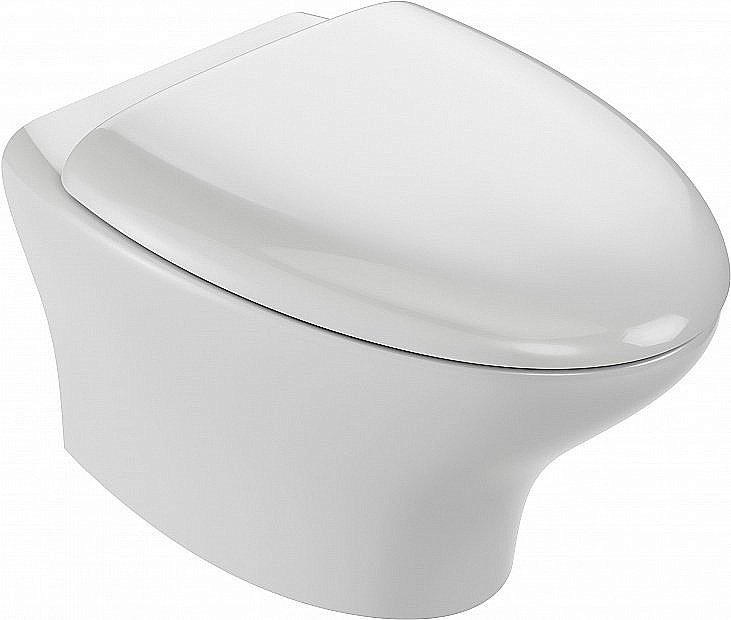 Унитаз подвесной Jacob Delafon NOUVELLE VAGUE EDJ102-00 безободковый купить в интернет-магазине Sanbest