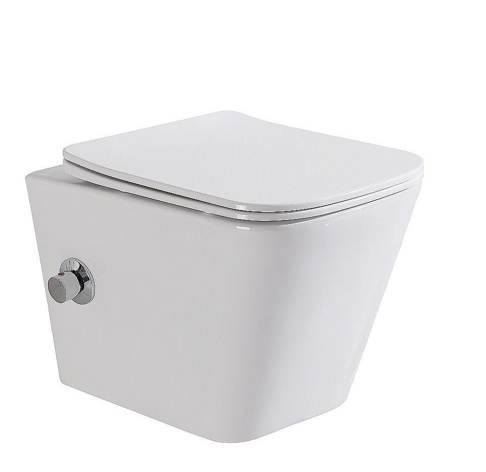 Унитаз BelBagno Due BB3103CHR-BS/SC безободковый, с крышкой микролифт купить в интернет-магазине Sanbest