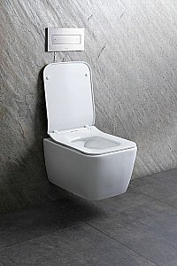 Унитаз подвесной Allen Brau Liberty 2 4.33007.21 белый матовый, безободковый купить в интернет-магазине Sanbest