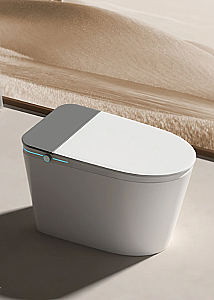 Унитаз напольный Ceruttispa ESTER Smart CT10617 с дистанционным управлением, безободковый, слив-торнадо, белый купить в интернет-магазине Sanbest