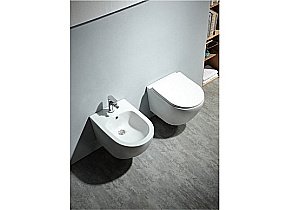 Унитаз подвесной Aquatek Европа AQ1900-00 белый, с крышкой микролифт, безободковый купить в интернет-магазине Sanbest