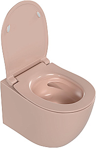 Унитаз подвесной Allen Brau Fantasy 3 Vortex 4.11035.SM розовый матовый, с крышкой микролифт, слив торнадо купить в интернет-магазине Sanbest