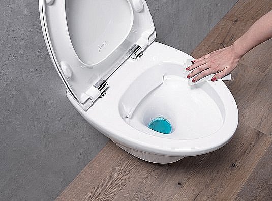 Унитаз подвесной Jacob Delafon NOUVELLE VAGUE EDK102-00 безободковый купить в интернет-магазине Sanbest