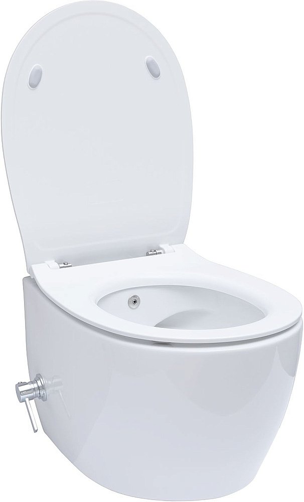 Унитаз Allen Brau Fantasy 4.11HC1.20 безободковый, с крышкой микролифт, белый купить в интернет-магазине Sanbest