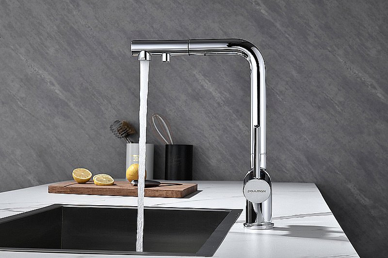 Смеситель для кухни Paulmark Serpentine Se213222-CR хром купить в интернет-магазине сантехники Sanbest