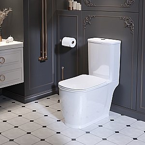 Унитаз Ambassador Royal 267K19001S с бачком, с крышкой микролифт, белый купить в интернет-магазине Sanbest