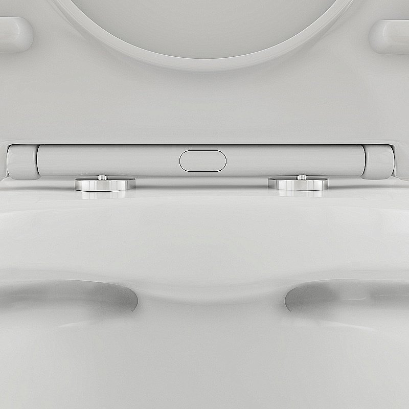 Унитаз-компакт Damixa Skyline DX35C8600SC белый, с крышкой микролифт, с бачком, безободковый купить в интернет-магазине Sanbest