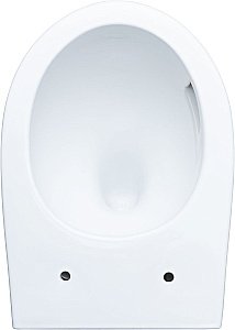 Унитаз подвесной Aquanet ZV-1 белый с крышкой микролифт, безободковый, слив-торнадо купить в интернет-магазине Sanbest