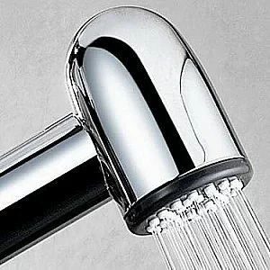 Гигиенический душ WasserKRAFT Alme A01556 хром купить в интернет-магазине сантехники Sanbest