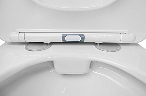 Унитаз напольный Azario Formal AZ-1353B белый, безободковый, с бачком, с крышкой микролифт купить в интернет-магазине Sanbest