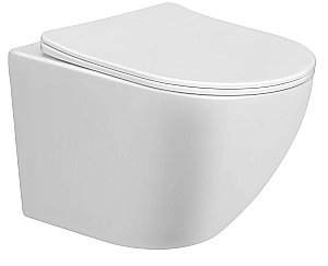 Унитаз подвесной Taliente Amato AM25010 безободковый, с крышкой микролифт, белый купить в интернет-магазине Sanbest