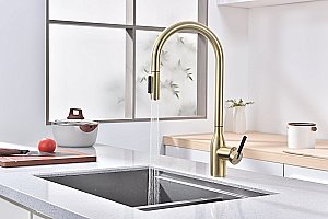 Смеситель для кухни Paulmark Universal Un213880-LG светлое золото купить в интернет-магазине сантехники Sanbest