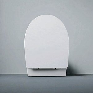 Унитаз подвесной RGW SW-50 80420250-01 белый, безободковый, с крышкой микролифт, слив-торнадо купить в интернет-магазине Sanbest