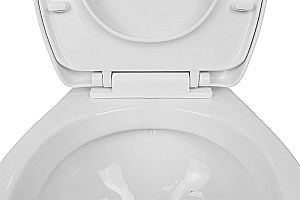 Унитаз подвесной Azario Stella AZ-VT005+AZ-VT005sc белый, с крышкой микролифт купить в интернет-магазине Sanbest