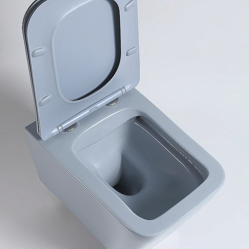 Унитаз Vincea Q-Line VT1-12MO безободковый, с крышкой микролифт, океан матовый купить в интернет-магазине Sanbest