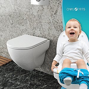 Унитаз подвесной OWL 1975 Wave Cirkel-H TOWLT190801 безободковый, с крышкой микролифт купить в интернет-магазине Sanbest