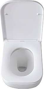 Унитаз Allen Brau Infinity 4.21004.20 безободковый, с крышкой микролифт, белый купить в интернет-магазине Sanbest