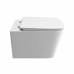 Унитаз подвесной BelBagno DUE-TOR BB5171CH-TOR/SC белый, с крышкой микролифт, безободковый, слив-торнадо купить в интернет-магазине Sanbest