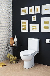 Унитаз напольный Jacob Delafon Patio UJV102-00 безободковый, с бачком, белый купить в интернет-магазине Sanbest