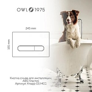 Кнопка для инсталляции OWL 1975 Mercury Knapp05MCG хром глянцевый купить в интернет-магазине сантехники Sanbest