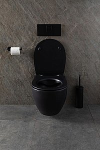 Унитаз подвесной Allen Brau Reality 4.32006.31 черный матовый, безободковый, с крышкой микролифт купить в интернет-магазине Sanbest