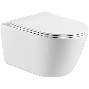 Унитаз подвесной Aquatek Оберон AQ1363W-00 белый, с крышкой микролифт, безободковый купить в интернет-магазине Sanbest