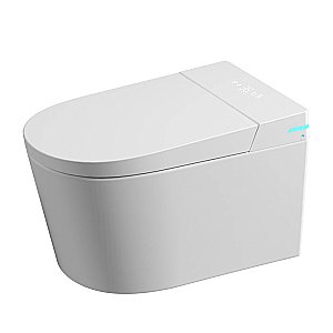 Унитаз подвесной с биде и инсталляцией Abber Bequem AC1123SR-AC0101P2 белый, с крышкой микролифт купить в интернет-магазине Sanbest