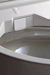 Унитаз TOTO NEOREST AC CW996PVD#NW1 с крышкой-биде WASHLET® AC 2.0 TCF996RWG#NW1 безободковый, слив торнадо, белый купить в интернет-магазине Sanbest