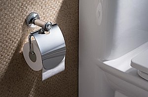 Держатель для туалетной бумаги Schein Superior 7066026 хром/Swarovski купить в интернет-магазине сантехники Sanbest